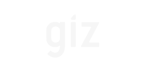 logo-giz2